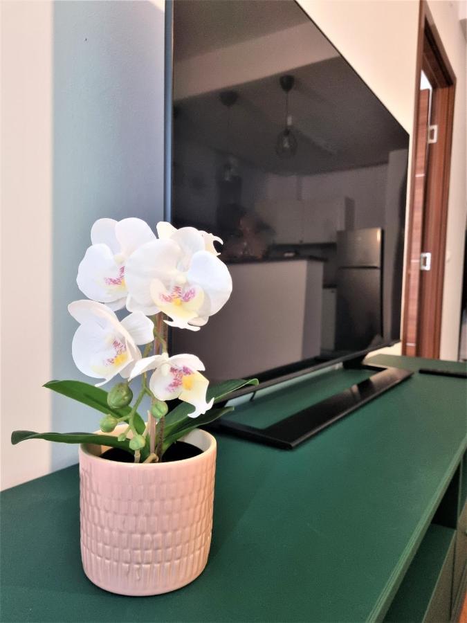 Summer Onix Mamaia Nord Apartament Năvodari Kültér fotó